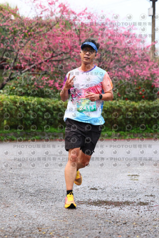 2026左岸竹東櫻花馬拉松Zhudong Sakura Marathon
