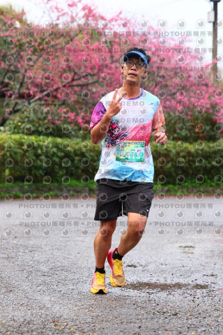 2026左岸竹東櫻花馬拉松Zhudong Sakura Marathon