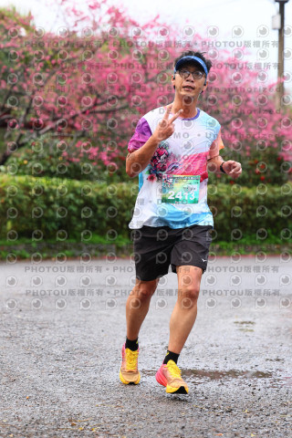 2026左岸竹東櫻花馬拉松Zhudong Sakura Marathon