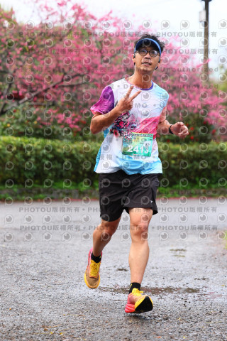 2026左岸竹東櫻花馬拉松Zhudong Sakura Marathon