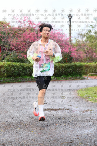 2026左岸竹東櫻花馬拉松Zhudong Sakura Marathon