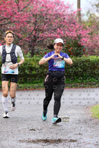 2026左岸竹東櫻花馬拉松Zhudong Sakura Marathon