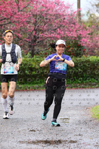 2026左岸竹東櫻花馬拉松Zhudong Sakura Marathon