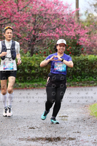 2026左岸竹東櫻花馬拉松Zhudong Sakura Marathon