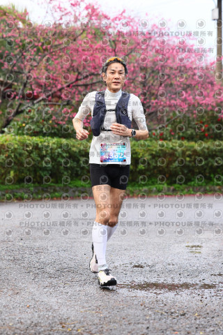 2026左岸竹東櫻花馬拉松Zhudong Sakura Marathon
