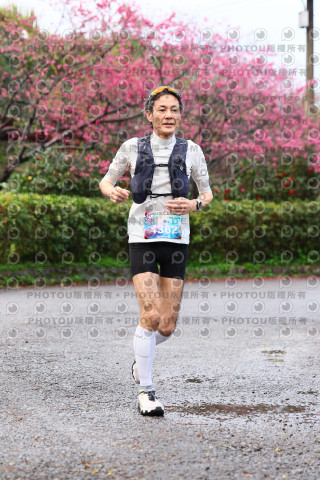 2026左岸竹東櫻花馬拉松Zhudong Sakura Marathon