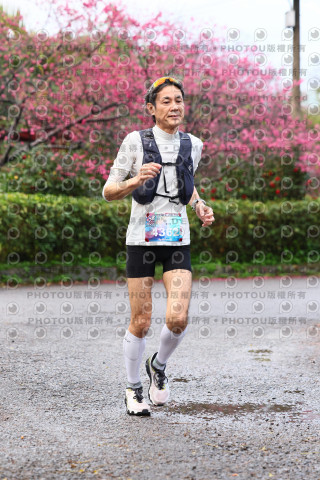 2026左岸竹東櫻花馬拉松Zhudong Sakura Marathon