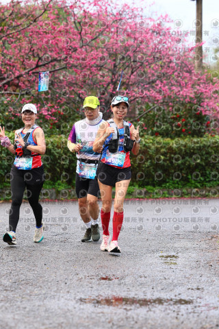 2026左岸竹東櫻花馬拉松Zhudong Sakura Marathon