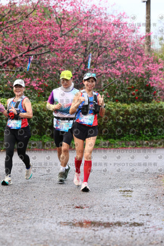 2026左岸竹東櫻花馬拉松Zhudong Sakura Marathon