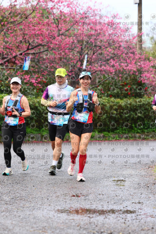 2026左岸竹東櫻花馬拉松Zhudong Sakura Marathon