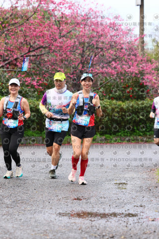 2026左岸竹東櫻花馬拉松Zhudong Sakura Marathon