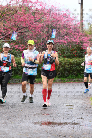 2026左岸竹東櫻花馬拉松Zhudong Sakura Marathon