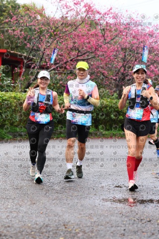 2026左岸竹東櫻花馬拉松Zhudong Sakura Marathon