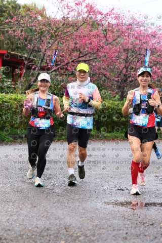 2026左岸竹東櫻花馬拉松Zhudong Sakura Marathon