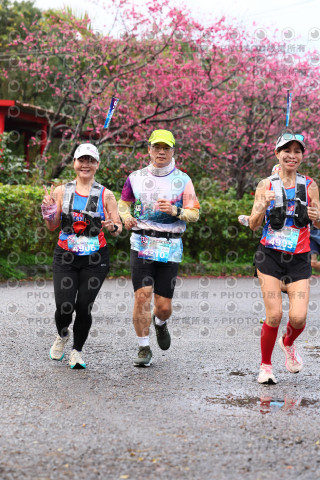 2026左岸竹東櫻花馬拉松Zhudong Sakura Marathon