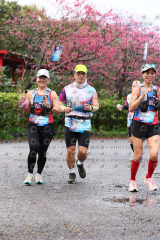 2026左岸竹東櫻花馬拉松Zhudong Sakura Marathon