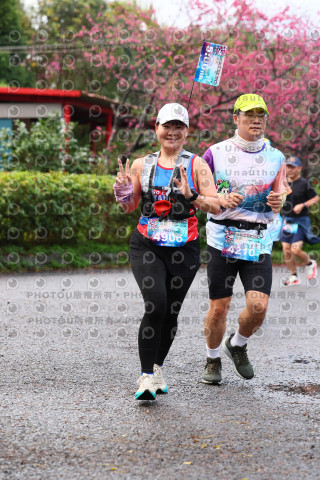 2026左岸竹東櫻花馬拉松Zhudong Sakura Marathon