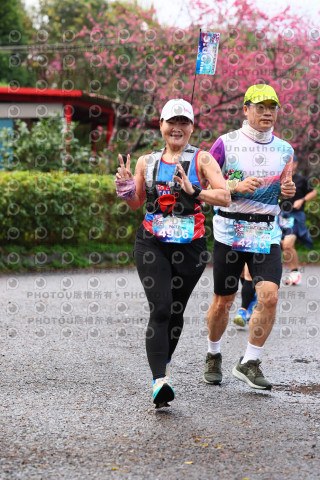 2026左岸竹東櫻花馬拉松Zhudong Sakura Marathon