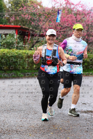 2026左岸竹東櫻花馬拉松Zhudong Sakura Marathon