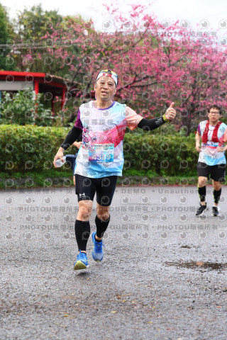 2026左岸竹東櫻花馬拉松Zhudong Sakura Marathon