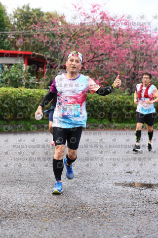 2026左岸竹東櫻花馬拉松Zhudong Sakura Marathon