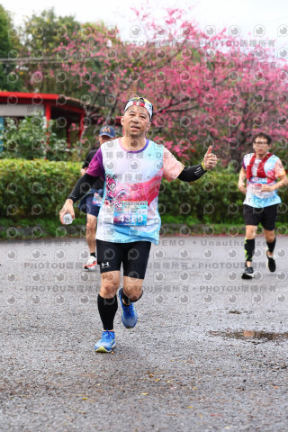 2026左岸竹東櫻花馬拉松Zhudong Sakura Marathon