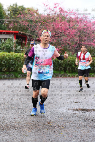 2026左岸竹東櫻花馬拉松Zhudong Sakura Marathon