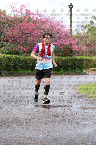 2026左岸竹東櫻花馬拉松Zhudong Sakura Marathon