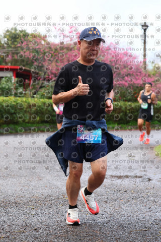 2026左岸竹東櫻花馬拉松Zhudong Sakura Marathon