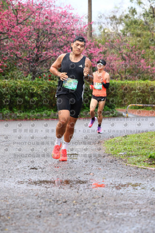 2026左岸竹東櫻花馬拉松Zhudong Sakura Marathon