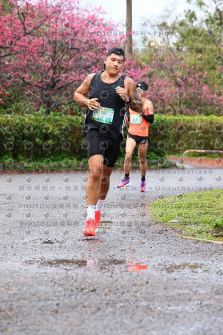2026左岸竹東櫻花馬拉松Zhudong Sakura Marathon