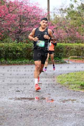 2026左岸竹東櫻花馬拉松Zhudong Sakura Marathon