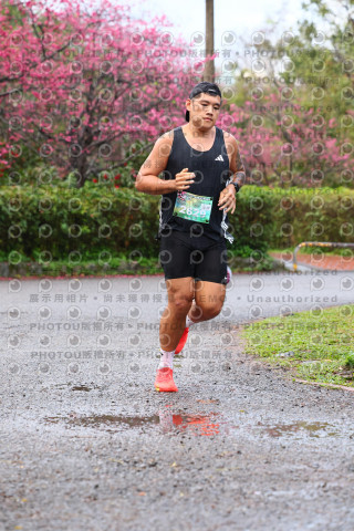 2026左岸竹東櫻花馬拉松Zhudong Sakura Marathon