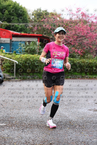 2026左岸竹東櫻花馬拉松Zhudong Sakura Marathon