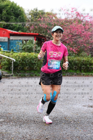 2026左岸竹東櫻花馬拉松Zhudong Sakura Marathon