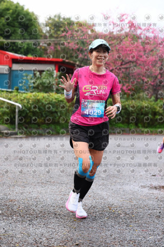 2026左岸竹東櫻花馬拉松Zhudong Sakura Marathon