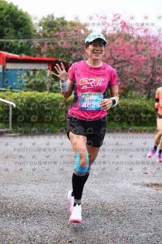2026左岸竹東櫻花馬拉松Zhudong Sakura Marathon