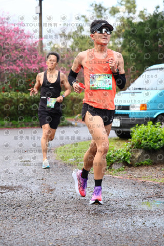 2026左岸竹東櫻花馬拉松Zhudong Sakura Marathon