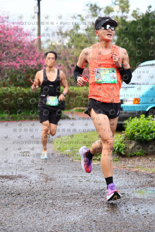 2026左岸竹東櫻花馬拉松Zhudong Sakura Marathon