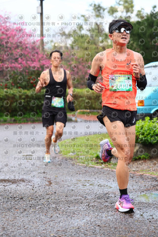 2026左岸竹東櫻花馬拉松Zhudong Sakura Marathon