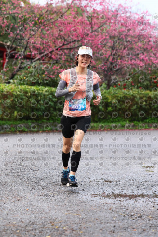 2026左岸竹東櫻花馬拉松Zhudong Sakura Marathon