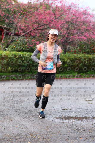 2026左岸竹東櫻花馬拉松Zhudong Sakura Marathon