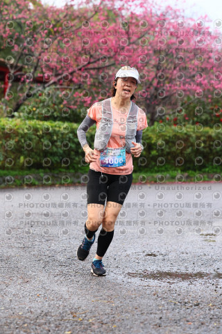 2026左岸竹東櫻花馬拉松Zhudong Sakura Marathon