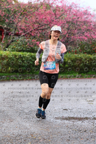 2026左岸竹東櫻花馬拉松Zhudong Sakura Marathon