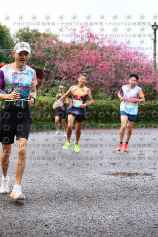 2026左岸竹東櫻花馬拉松Zhudong Sakura Marathon