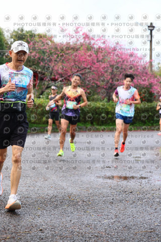 2026左岸竹東櫻花馬拉松Zhudong Sakura Marathon