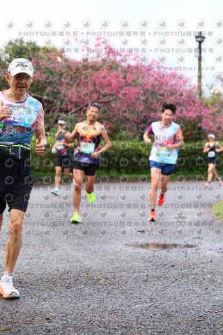 2026左岸竹東櫻花馬拉松Zhudong Sakura Marathon