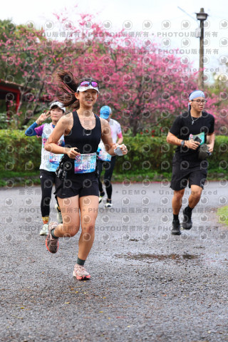 2026左岸竹東櫻花馬拉松Zhudong Sakura Marathon