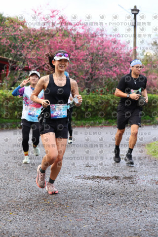 2026左岸竹東櫻花馬拉松Zhudong Sakura Marathon