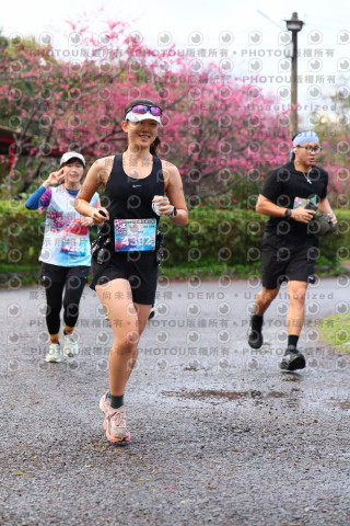 2026左岸竹東櫻花馬拉松Zhudong Sakura Marathon